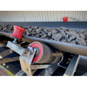 3 Tanda Roller Conveyor Anda Butuh Diganti: Cegah Downtime Mahal di Pabrik!