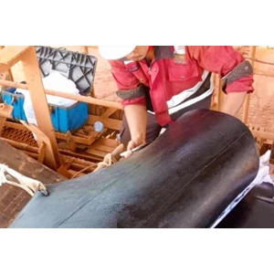 Layanan Penyambungan Conveyor Belt: Hot Splicing vs. Cold Splicing, Mana yang Tepat untuk Anda?